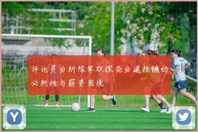 评论员分析绿军双探花分道扬镳的必然性与薪资困境