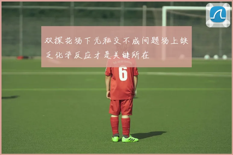 双探花场下无私交不成问题场上缺乏化学反应才是关键所在